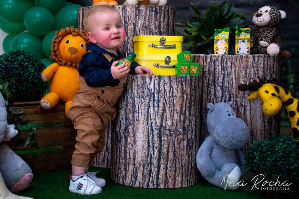 Aniversário 01 ano ♥ Lucca