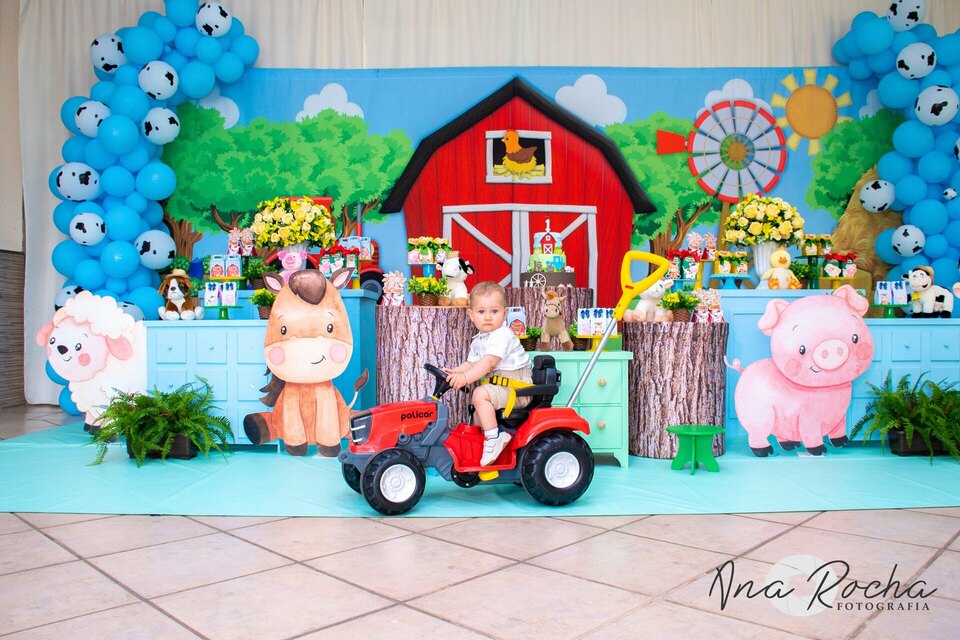 Aniversário Ravi ♥ 01 aninho