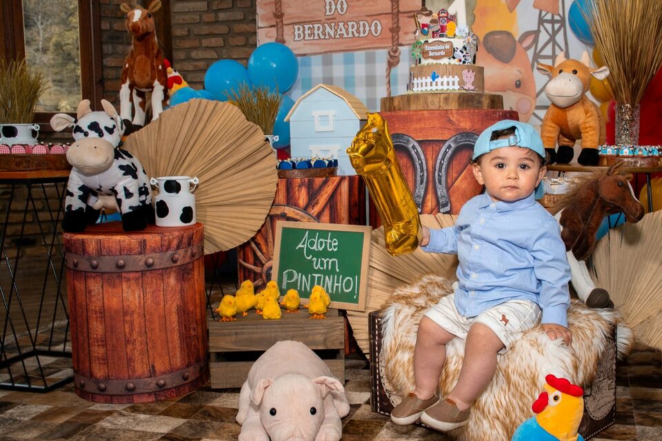 Aniversário 01 ano ♥ Bernardo