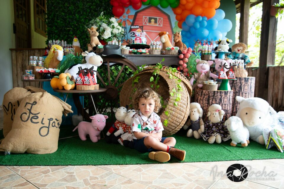 Aniversário 02 anos ♥ Gabriel