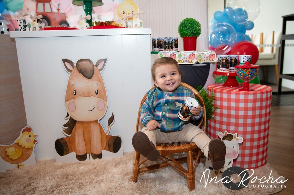 Aniversário 01 ano ♥ Miguel