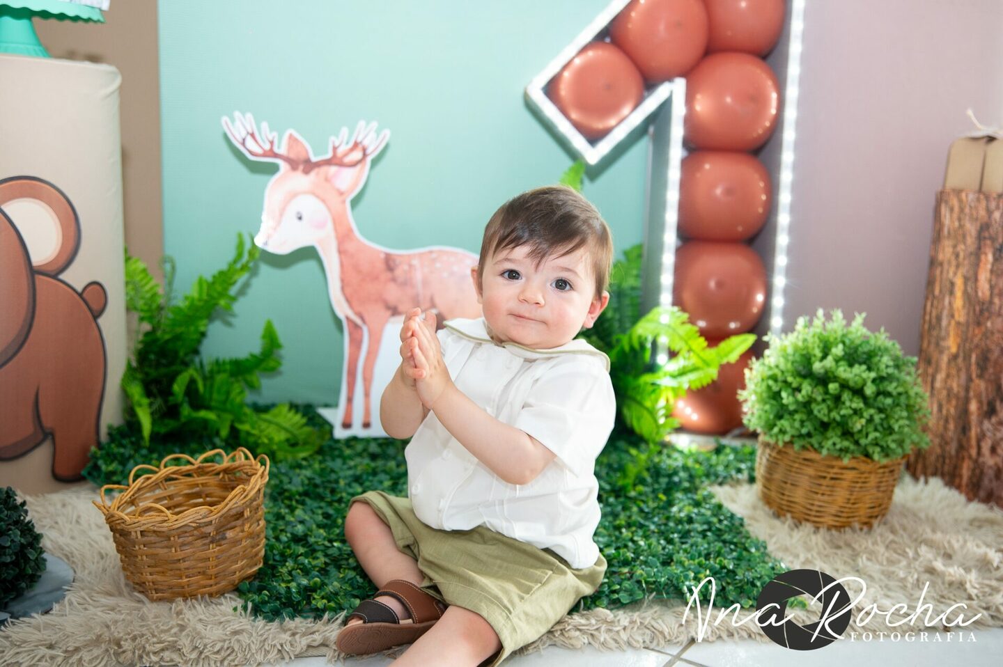 Aniversário 01 ano ♥ Dante