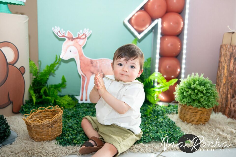 Aniversário 01 ano ♥ Dante