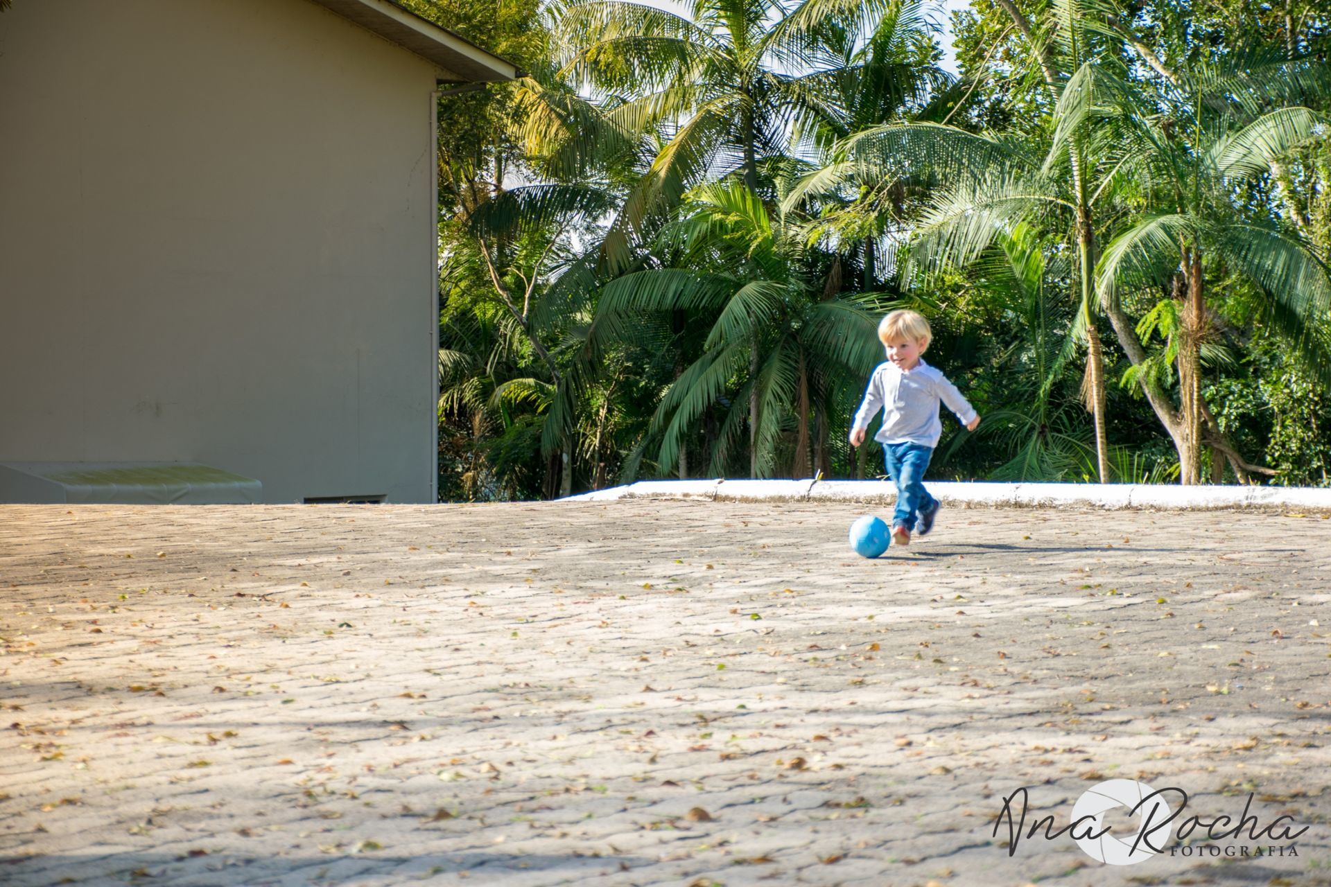 Foto 2 ano do Zezé - Imagem 2