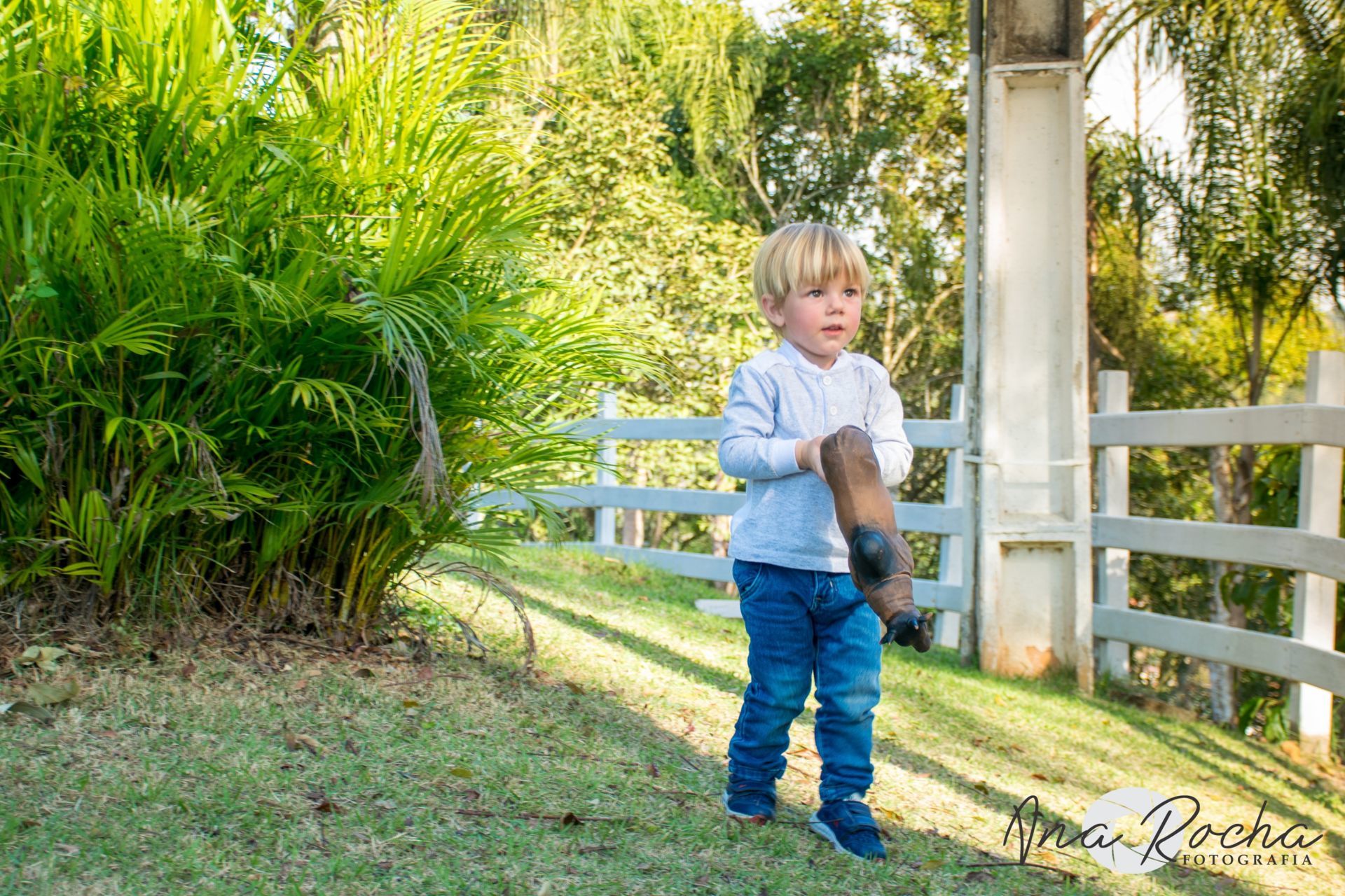 Foto 2 ano do Zezé - Imagem 0