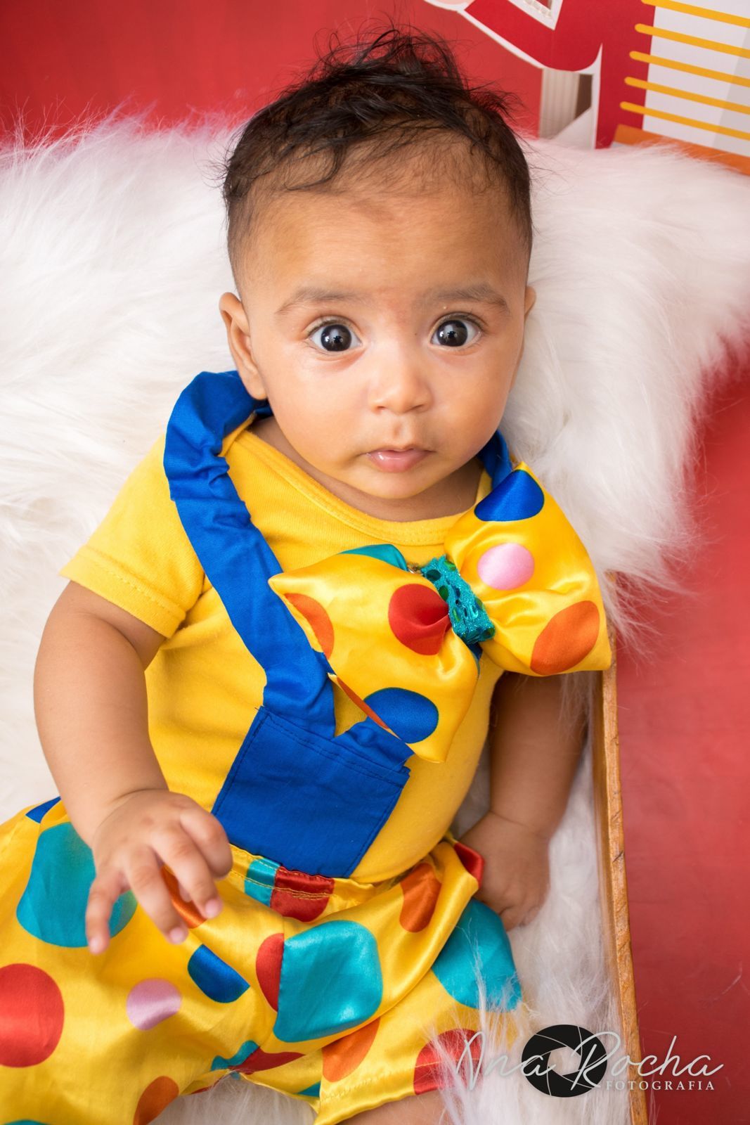 Foto Lucca 3 meses ♥ Circo Foto Lucca 3 meses ♥ Circo - Imagem 28