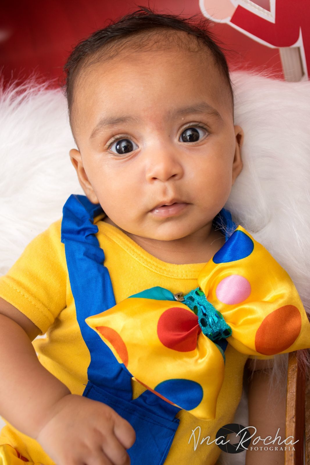 Foto Lucca 3 meses ♥ Circo Foto Lucca 3 meses ♥ Circo - Imagem 30